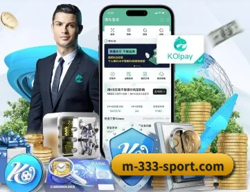 333体育 APP 深度功能